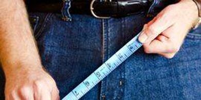 Dimensioni dell'organo genitale maschile