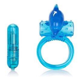 anello del gallo